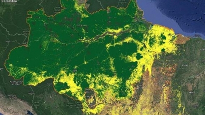 Acre: Ibama multa presidente do Tribunal de Justiça e promotor por desmate