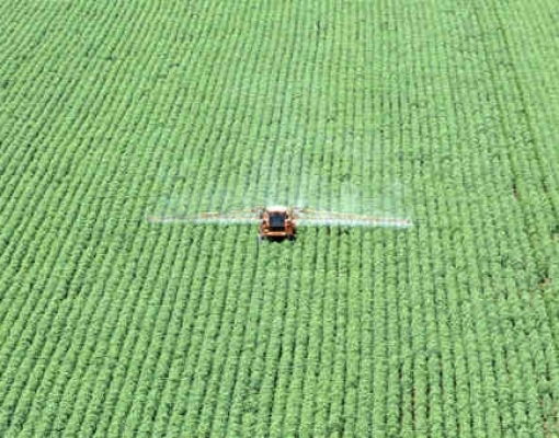  Aprosoja quer fim da moratória na Amazônia e refuta ação no Cerrado