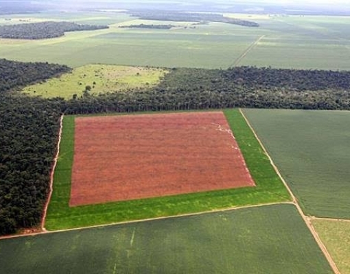 Fim da moratória da soja na Amazônia pode ter campanha publicitária