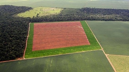 Fim da moratória da soja na Amazônia pode ter campanha publicitária