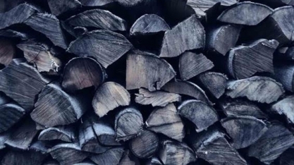 Bioenergia é oportunidade – Por Paulo Hartung