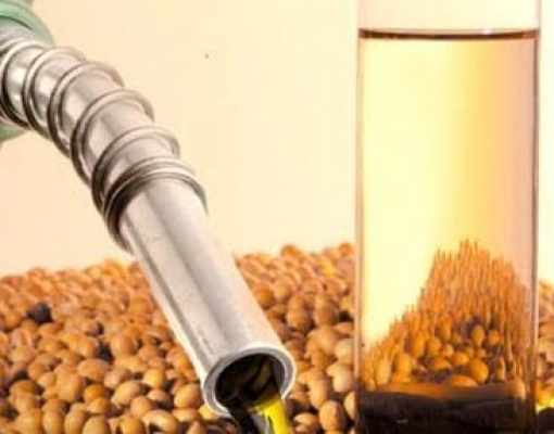 57% da soja a ser moída em 2020 irá para a produção de biodiesel
