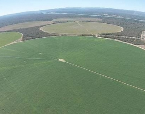 Investimentos podem tornar a Bahia no ‘novo Eldorado’ sucroenergético