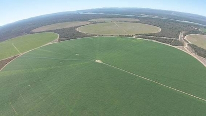 Investimentos podem tornar a Bahia no ‘novo Eldorado’ sucroenergético
