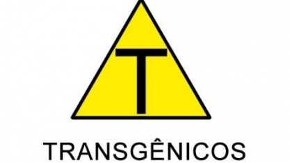 Brasil passa EUA na área utilizada para produção de soja transgênica 