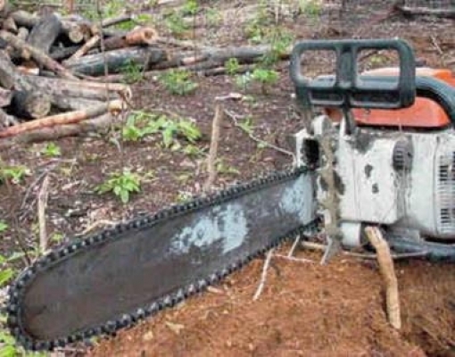 Desmatamento na Amazônia dispara e atinge maior nível em 11 anos