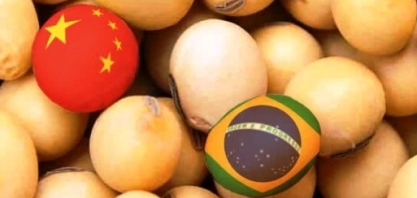 Exportação de soja do Brasil para China pode recuar até 10% em 19/20 