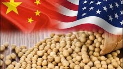 China: Importação de alimentos dos EUA recuam 20% no ano