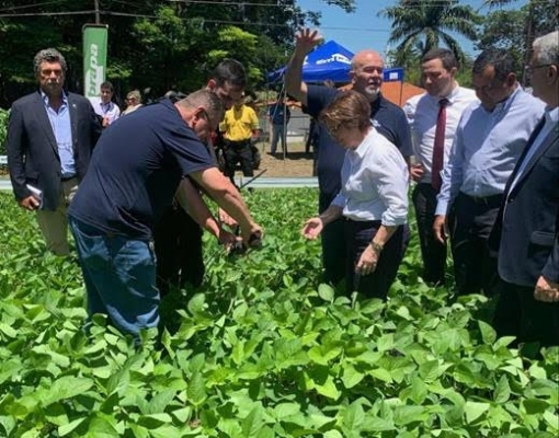 Ministra defende uso de tecnologia na agropecuária para ampliar mercado