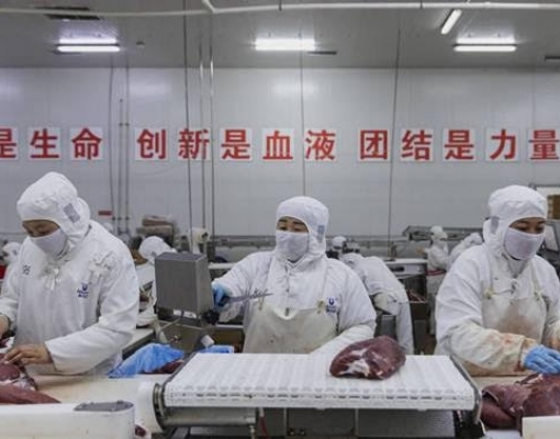 O momento é de festa na pecuária, mas também traz preocupação