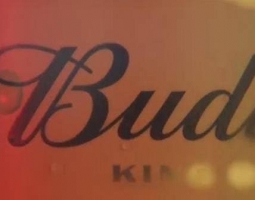 Ambev investirá R$600 mi em usina eólica para cervejarias da Budweiser