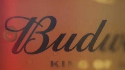 Ambev investirá R$600 mi em usina eólica para cervejarias da Budweiser