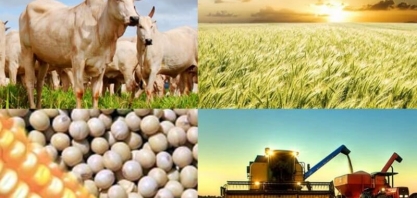 O setor agropecuário promete – Editorial O Estado de S.Paulo 