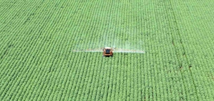 Soja: Volatilidade cambial ajuda produtor a fixar preço em bom nível 