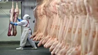 Exportação de carne suína do Brasil tem maior receita em 2 anos em outubro