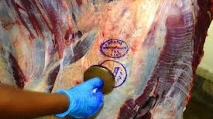 Abrafrigo: Exportação de carne bovina cresce 11% de janeiro a outubro