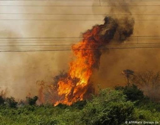 Pantanal é o alvo do novo desastre ambiental no Brasil