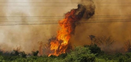 Pantanal é o alvo do novo desastre ambiental no Brasil