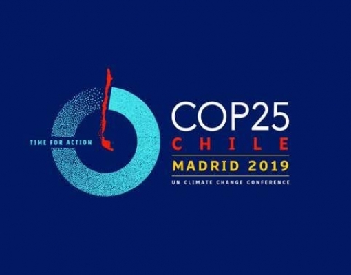 Após criticar países ricos, Bolsonaro vai pedir US$ 50 mi para Amazônia