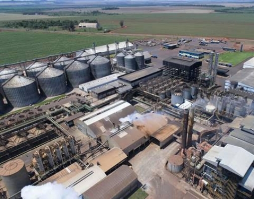 Paraguai ganha espaço no mercado de etanol do Brasil