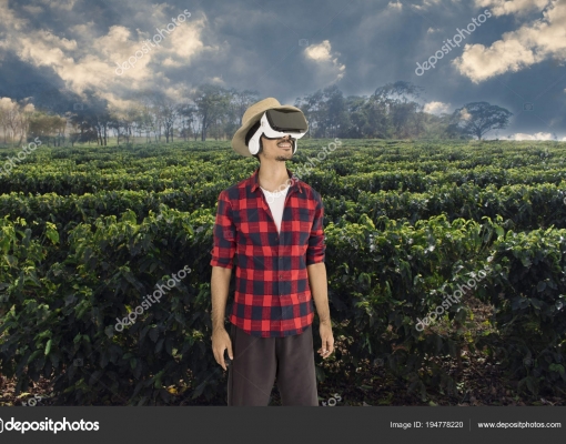 Lavouras de café ganham com soluções inovadoras de startups