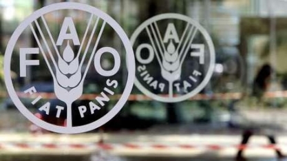 Preços globais de alimentos sobem pela 1ª vez em 5 meses, diz FAO