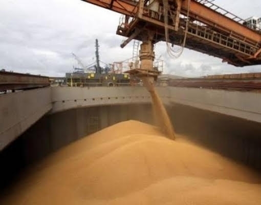 Brasil e China avançam em protocolo para exportação de farelo de soja