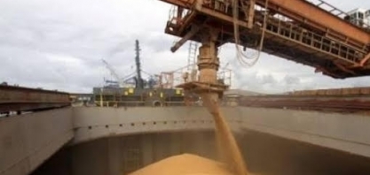 Brasil e China avançam em protocolo para exportação de farelo de soja