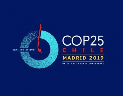 “Renovabio é uma política de desmatamento zero”, defende Única 