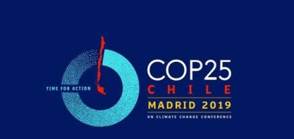 “Renovabio é uma política de desmatamento zero”, defende Única 