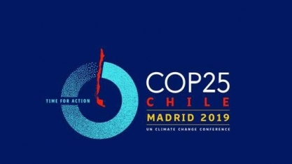 “Renovabio é uma política de desmatamento zero”, defende Única 