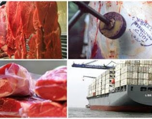 Exportações de carnes desaceleram em novembro ante outubro