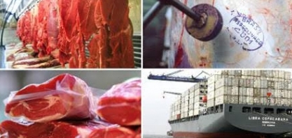 Exportações de carnes desaceleram em novembro ante outubro