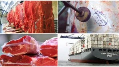 Exportações de carnes desaceleram em novembro ante outubro