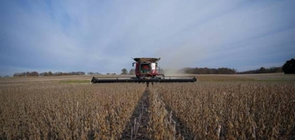 Fertilizantes ainda terão preços favoráveis em 2020