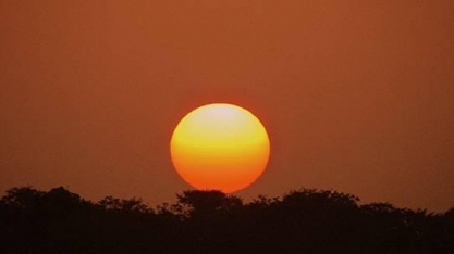 Programa para biocombustível RenovaBio pode ser aliado contra desmatamento