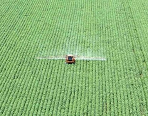 Investidores pedem manutenção da moratória de soja na Amazônia