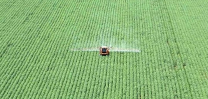 Investidores pedem manutenção da moratória de soja na Amazônia