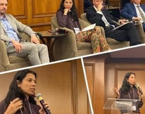 Energia: Ser otimista é mandatório - Por Agnes da Costa