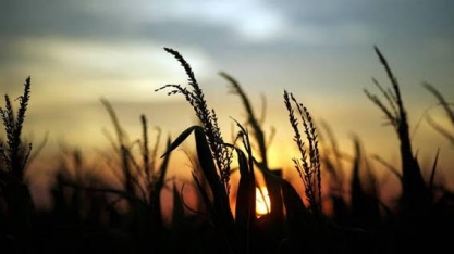 Ações de Fernandéz e de Trump ainda têm efeitos incertos sobre Brasil