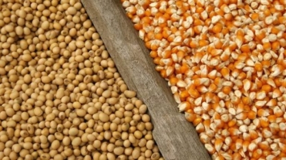 O novo recorde da produção de grãos – Editorial O Estado de S.Paulo