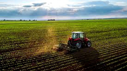 Agroindústria contribui para estabilidade na população ocupada no agro 