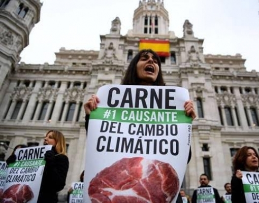 Brasil vai a encontro do clima em busca de dinheiro; sem estande oficial