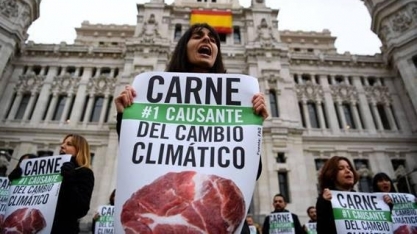 Brasil vai a encontro do clima em busca de dinheiro; sem estande oficial