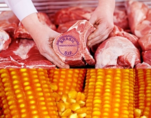 Milho e carnes salvam balança comercial do agronegócio