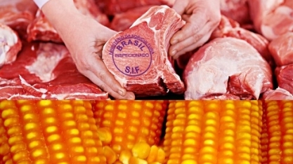 Milho e carnes salvam balança comercial do agronegócio