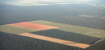 Tradings não compram soja de quem desmatou após junho/2008