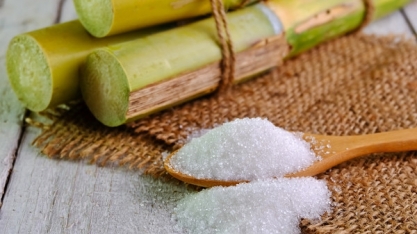 Fixação de preços do açúcar por usinas do Brasil cresce em novembro