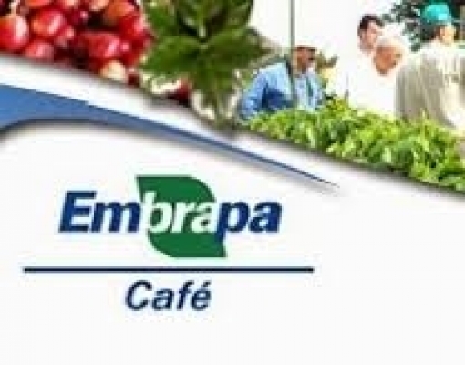 Consumo mundial de café em 2019 atinge 168 milhões de sacas