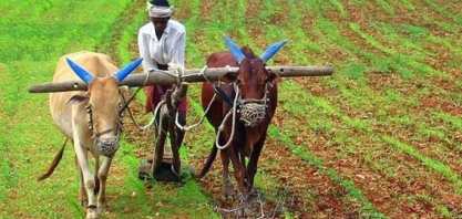 Ainda esquecida, Índia deverá ganhar importância para o agronegócio